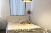 Pinkas area 1 room 51sqm Renovated Quiet Apartment for sale in Tel Aviv