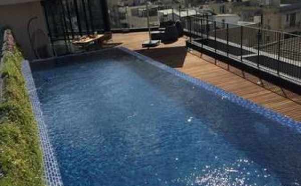 Trumpeldor Luxury Penthouse 5 room 165m2 Roof Top 170m2 with Sea view Lift Parking For Sale