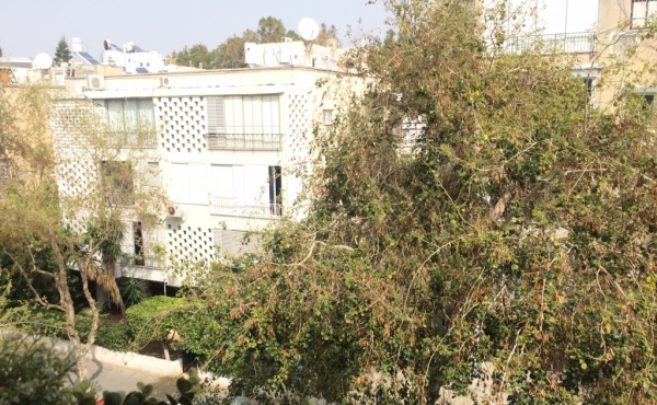 Nordau area 2 room 54m2 Renovated Lift For Sale