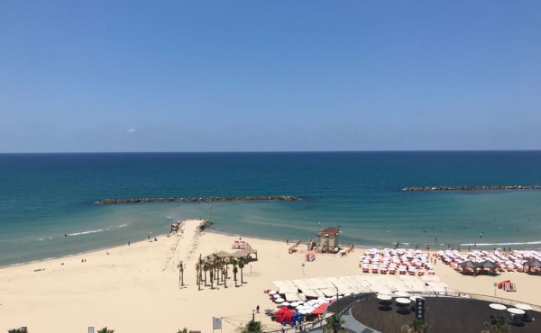 Hotel Orchid Plaza 3 bedrooms 147sqm Terrace Elevator Parking Swimming Pool Gym Club Apartment for rent in Tel Aviv