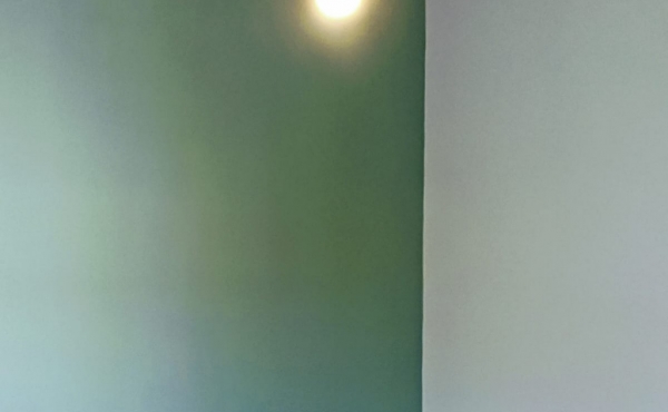 Villa 450sqm + Pot 260sqm 4 bedrooms Villa for rent in Hertzelia Pituah