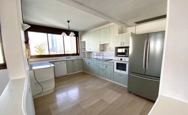 Kikar Hamedina area 4 room 170sqm Balcony Parking x2 Apartment for rent in Tel Aviv
