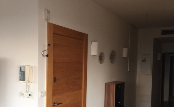 North Dizengoff Penthouse 3 room 75sqm Terrace 50sqm Sea view Apartment for rent in Tel Aviv