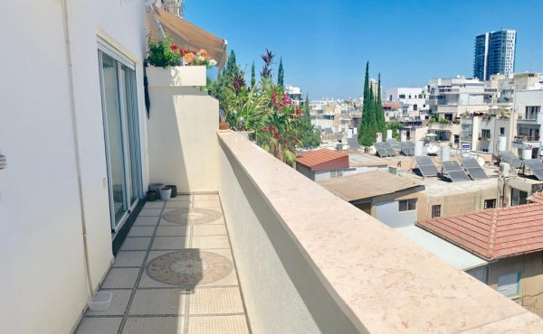 Dizengoff Roof Duplex Terrace Elevator Apartment for rent in Tel Aviv