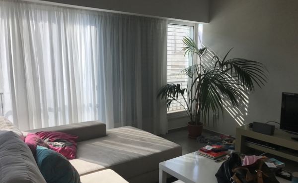 Rothschild area 3 room 80sqm Apartment for Sale in Telaviv