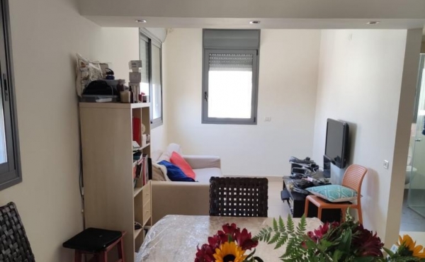 Rothschild area Penthouse Duplex 2 bedrooms 95sqm Rooftop 45sqm Apartment for rent in Tel Aviv