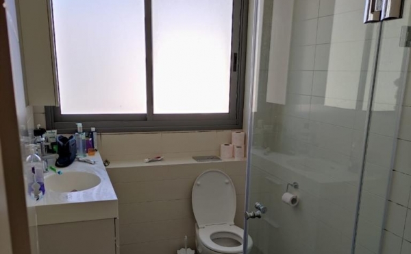 Rothschild area Penthouse Duplex 2 bedrooms 95sqm Rooftop 45sqm Apartment for rent in Tel Aviv