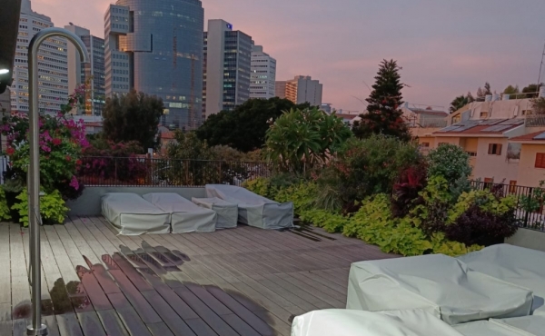 Neve Tsedek Penthouse 3 bedrooms Huge terrace 180sqm Lift Parking Gym club Apartment for rent in Tel Aviv