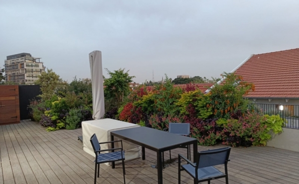Neve Tsedek Penthouse 3 bedrooms Huge terrace 180sqm Lift Parking Gym club Apartment for rent in Tel Aviv