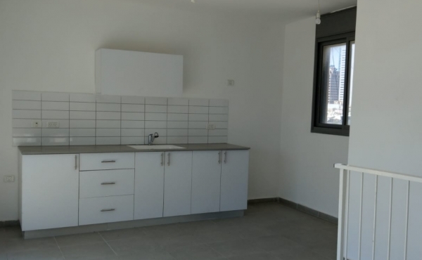 Florentin area Amazing Duplex Rooftop Terrace 90sqm 3 room 65 sqm Elevator Apartment fo sale in Tel Aviv Israel