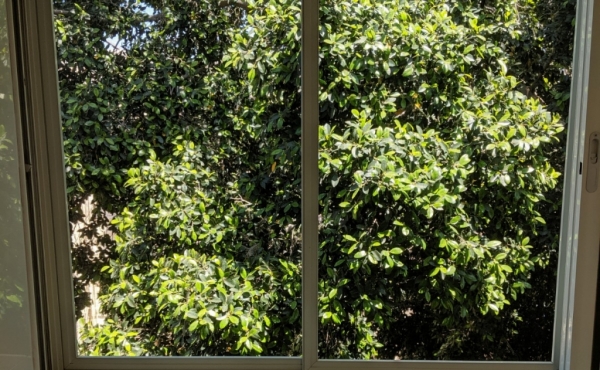 Dov Hoz 2 bedrooms 80sqm Extra storage Apartment for rent in Tel Aviv