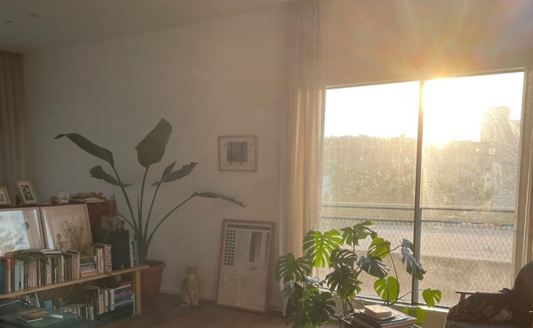 Balfour 2 rooms 100sqm Balcony 25sqm Lift Parking, apartment in rent in Tel Aviv