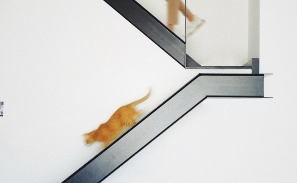 Balfour 2 rooms 100sqm Balcony 25sqm Lift Parking, apartment in rent in Tel Aviv