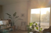 Balfour 2 rooms 100sqm Balcony 25sqm Lift Parking, apartment in rent in Tel Aviv