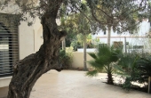 Hertzelia Pituah Villa for rent with garden close to the sea 