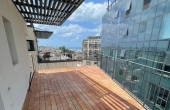 Neve Tsedek area Penthouse Duplex 3 room 140sqm Balconies 100sqm Parking Apartment for rent in tel Aviv