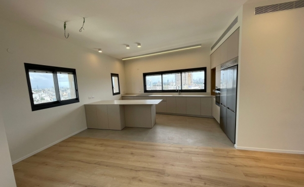 Neve Tsedek area Penthouse Duplex 4 room 160sqm Balconies 100sqm Parking Apartment for sale in Tel Aviv