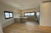Neve Tsedek area Penthouse Duplex 4 room 160sqm Balconies 100sqm Parking Apartment for sale in Tel Aviv