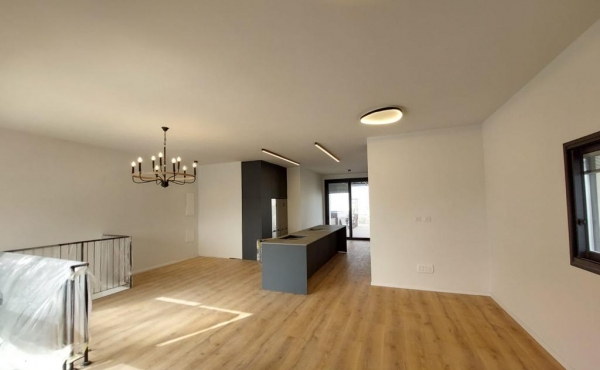 Neve Tsedek area Penthouse Duplex 4 room 160sqm Balconies 100sqm Parking Apartment for rent in Tel Aviv