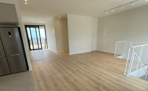 Neve Tsedek area Penthouse Duplex 4 room 160sqm Balconies 100sqm Parking Apartment for rent in Tel Aviv