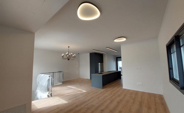 Neve Tsedek area Penthouse Duplex 4 room 160sqm Balconies 100sqm Parking Apartment for rent in Tel Aviv