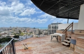 Neve Tsedek area Penthouse Duplex 4 room 160sqm Balconies 100sqm Parking Apartment for rent in Tel Aviv