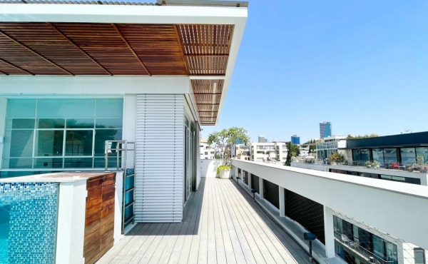 Sheinkin Penthouse Duplex 4 rooms 155m2 Balconies 114m2 Pool Lift Parking Apartment for rent  in Tel Aviv