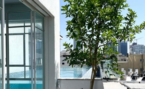 Sheinkin Penthouse Duplex 4 rooms 155m2 Balconies 114m2 Pool Lift Parking Apartment for rent  in Tel Aviv
