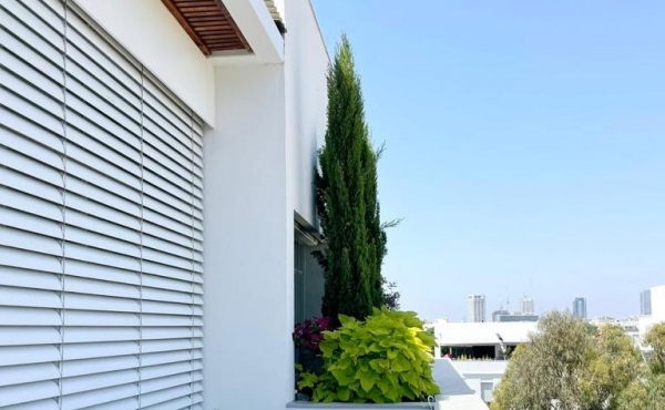 Sheinkin Penthouse Duplex 4 rooms 155m2 Balconies 114m2 Pool Lift Parking Apartment for rent  in Tel Aviv