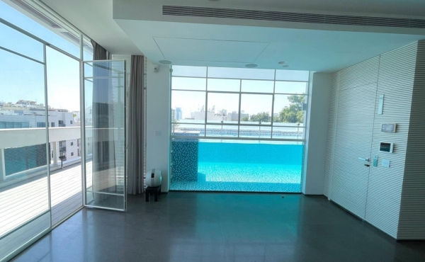 Sheinkin Penthouse Duplex 4 rooms 155m2 Balconies 114m2 Pool Lift Parking Apartment for rent  in Tel Aviv
