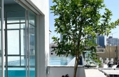 Sheinkin Penthouse Duplex 4 rooms 155m2 Balconies 114m2 Pool Lift Parking Apartment for rent  in Tel Aviv