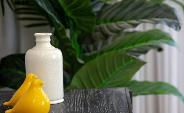 Luxury penthouse duplex in Bat Yam Balcony with sea view Lift parking