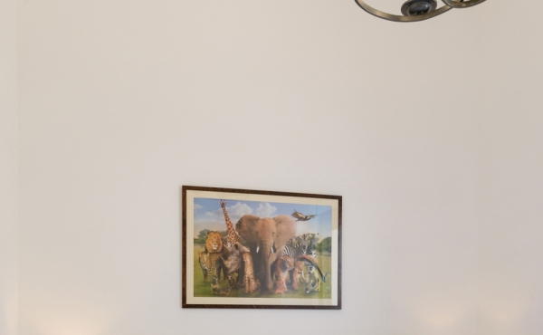 Sheinkin 3 bedrooms 100sqm Elevator Parking 