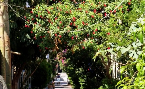 3 rooms Balcony Kehilat Eden village Lift Parking Apartment for rent in Tel Aviv