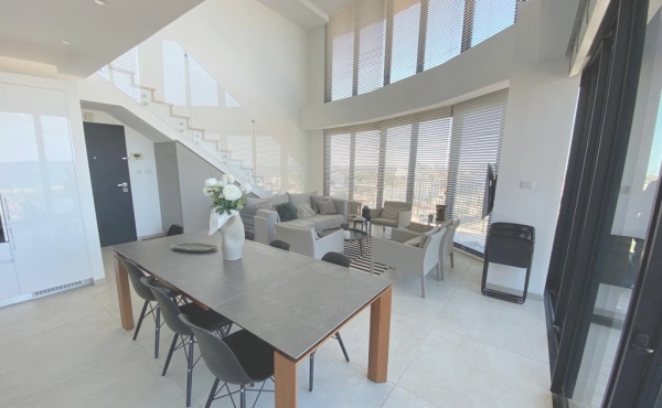 Eliphelet area Duplex 3 rooms 110m2 Balcony 25sqm Furnished Parking Club gym Apartment for rent in Tel Aviv