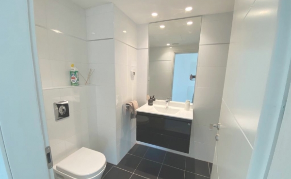 Eliphelet area Duplex 3 rooms 110m2 Balcony 25sqm Furnished Parking Club gym Apartment for rent in Tel Aviv