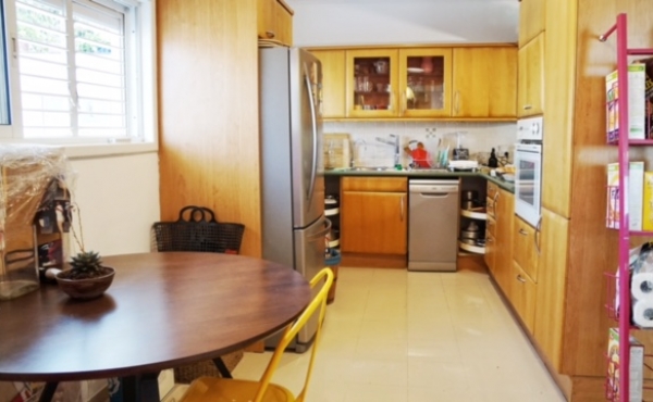 David Amelekh area Duplex 130sqm Garden 70sqm Elevator Parking Garden apartment for sale in Tel Aviv