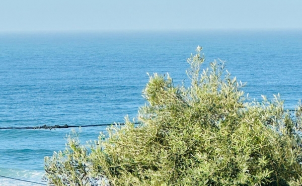 Yaffo 5 rooms with safe room 175m2 Balcony Lift Parking Apartment for sale in Tel Aviv