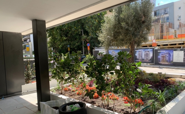 Biltmor 5 rooms 122m2 Shelter Balcony Lift Parking Apartment for Rent in Tel Aviv