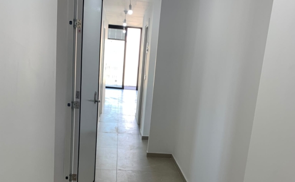 Biltmor 5 rooms 122m2 Shelter Balcony Lift Parking Apartment for Rent in Tel Aviv