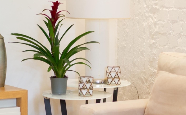Shlomo HaMelekh 2 bedrooms 80m2 Terrace 12m2 Apartment for rent in Tel Aviv