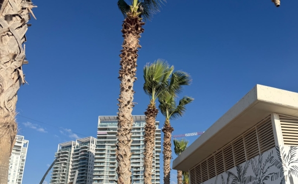 Givat Olga Hadera 4 rooms 110m2 Terrace Lift Parking Pool Fitness Guard