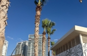 Givat Olga Hadera 4 rooms 110m2 Terrace Lift Parking Pool Fitness Guard